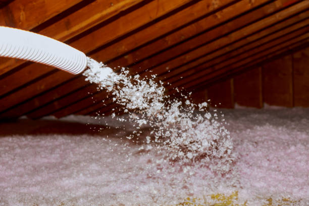 Best Insulation Installation Services in Garden City, MI