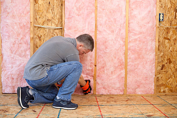 Best Insulation Maintenance and Repair in Garden City, MI
